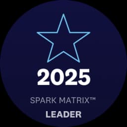 QKS SPARK Matrix Leader 2025